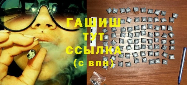 стаф Магас