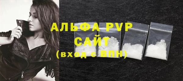 стаф Ладушкин