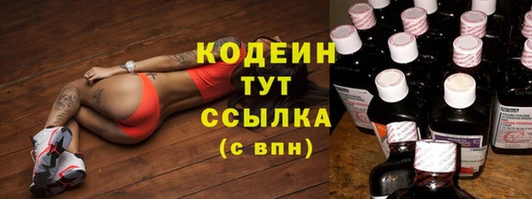 индика Липки
