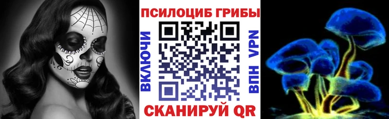 как найти   Кубинка  Галлюциногенные грибы Cubensis 