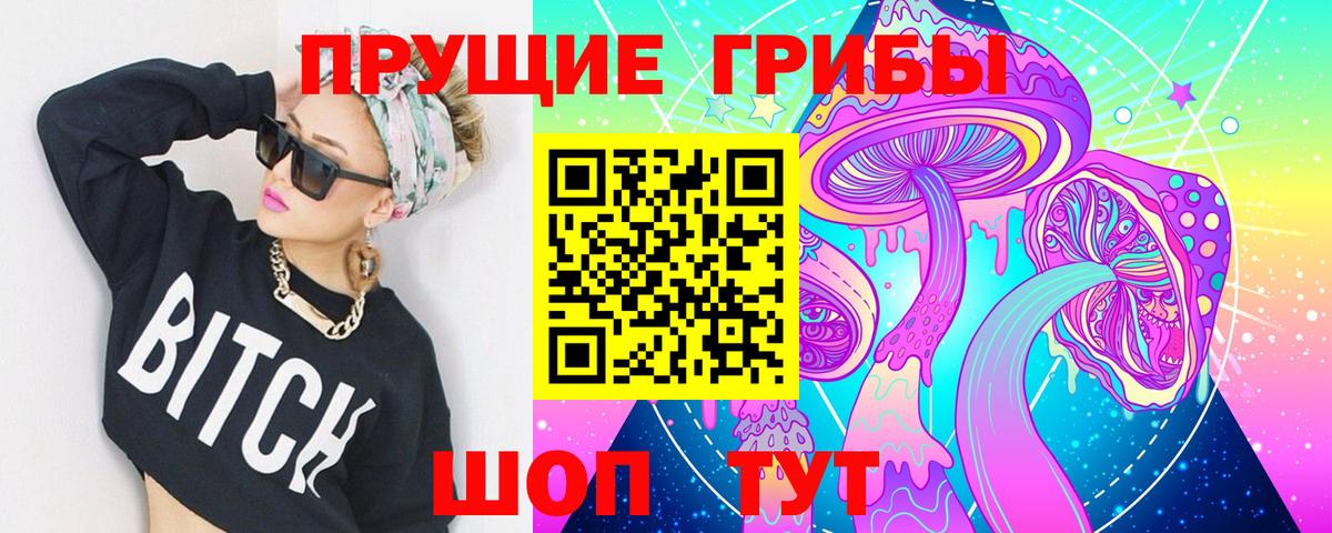 Псилоцибиновые грибы Psilocybe Кубинка