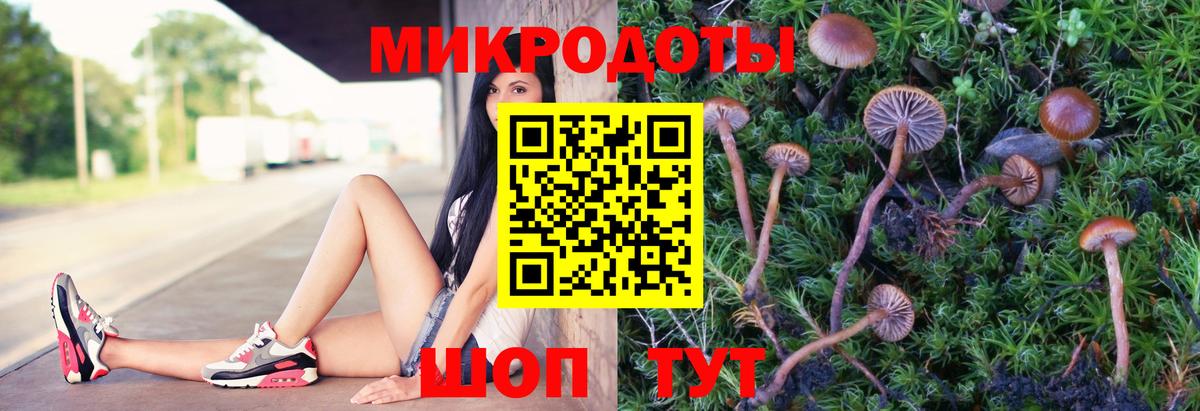 Псилоцибиновые грибы GOLDEN TEACHER Кубинка