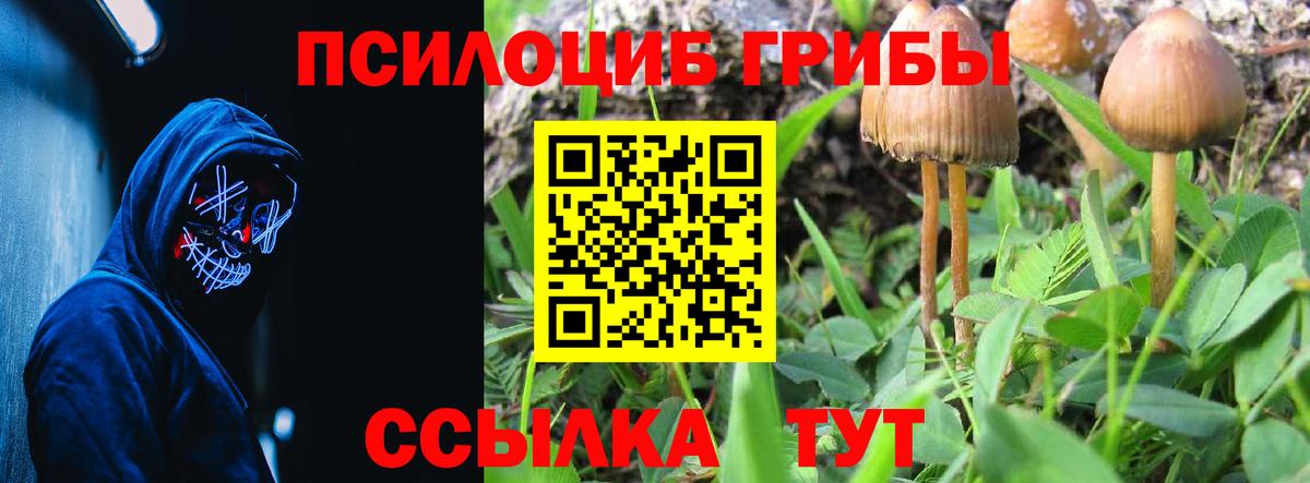 Кубинка  купить   Вход с VPN  Галлюциногенные грибы Magic Shrooms 